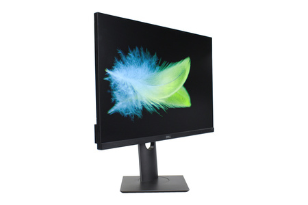 Dell P2421 24" WUXGA Klasa A