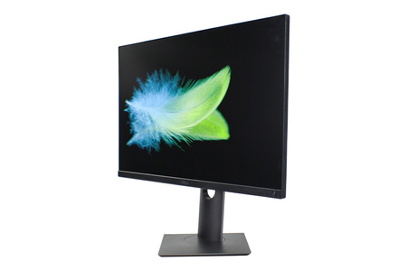 Dell P2421 24" WUXGA Klasa A